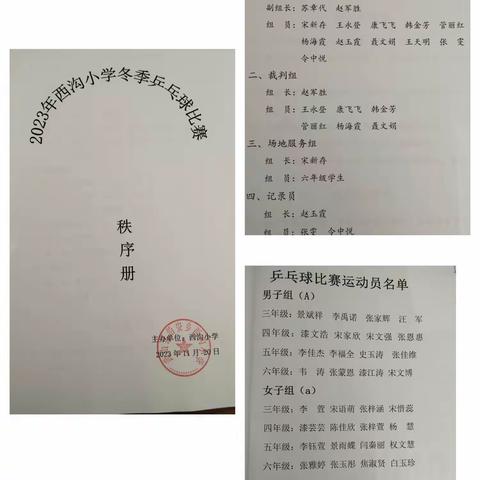 ［三抓三促进行时］爱“乒”才会赢———沿安乡西沟小学乒乓球比赛