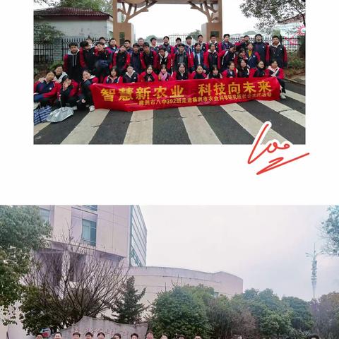 “智慧新农业，科技向未来” 走进株洲市农业科学研究所 株洲市八中392班寒假社会实践