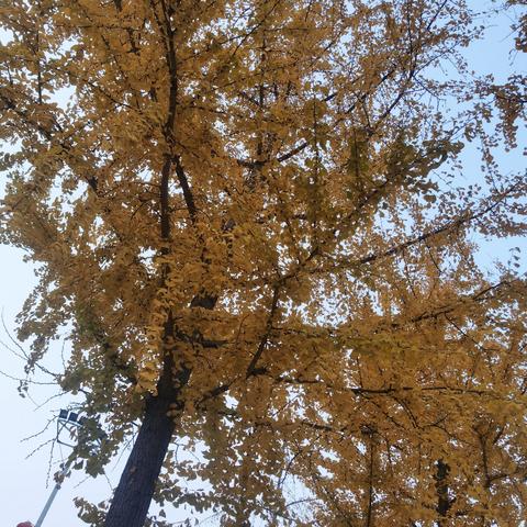 烤出活力，烧掉压力， 逐梦未来！ ——2024年12月13日392班活动记。