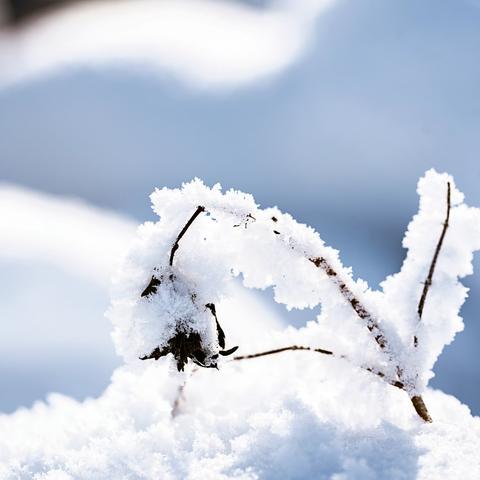 风雪满校园    扫雪护安全