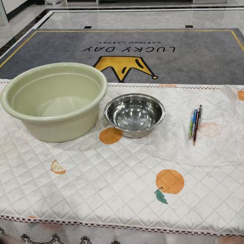 科学小实验《神奇的水袋》——实小一（7）班占欣彤