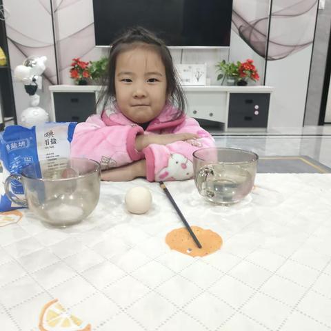 科学小实验《漂浮的🥚》