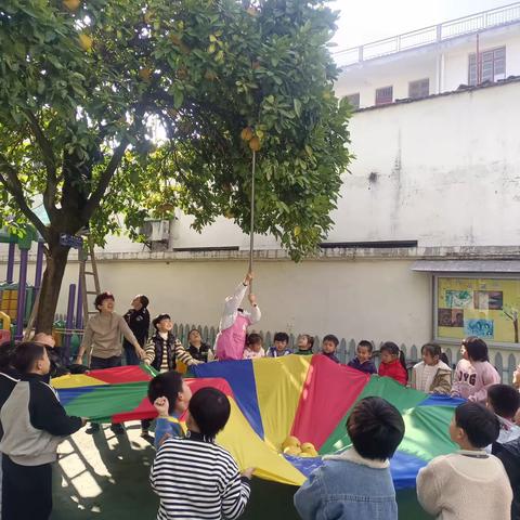 香泡节—育英幼儿园摘香泡活动