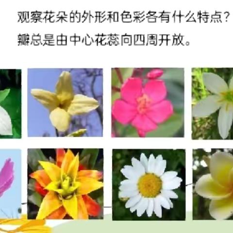 美术课上的花开时刻-方雯嫦希望小学