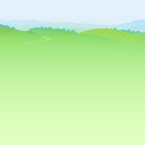 “沉浸式听课，在交流中生长智慧”——记前郭雷小学司军晓老师讲课篇