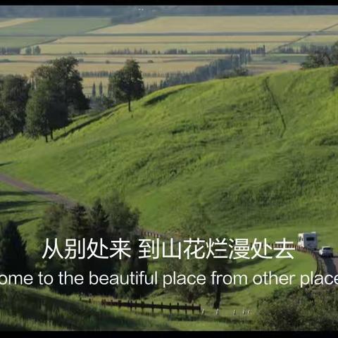 学习《沈祖芸全球教育报告》（2024-2025）》