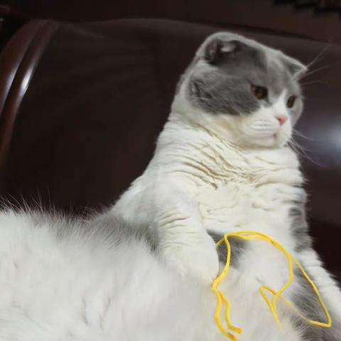 “实践出精彩 绳结护安全” ——音六小综合实践集体备课纪实