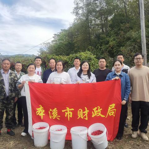 走进乡村振兴一线  财政青年挺膺担当