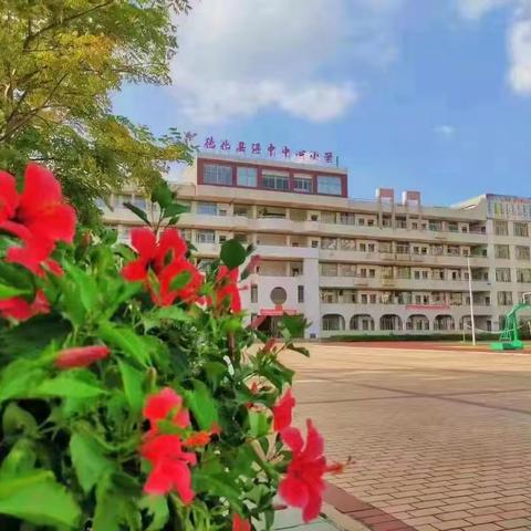 德化县浔中中心小学体育场所向社会开放公告