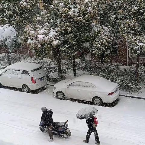 你那里下雪了吗？