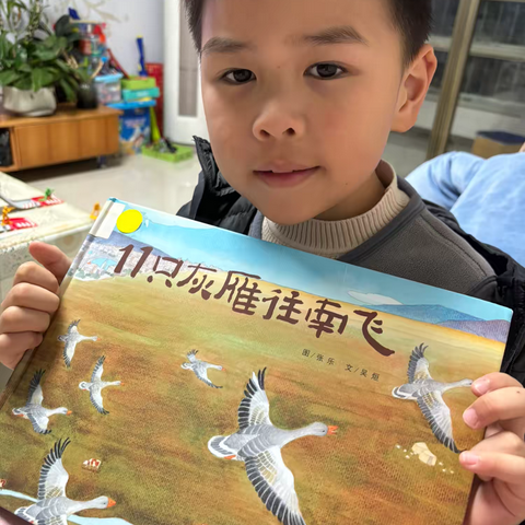 绘本-11只灰雁往南飞