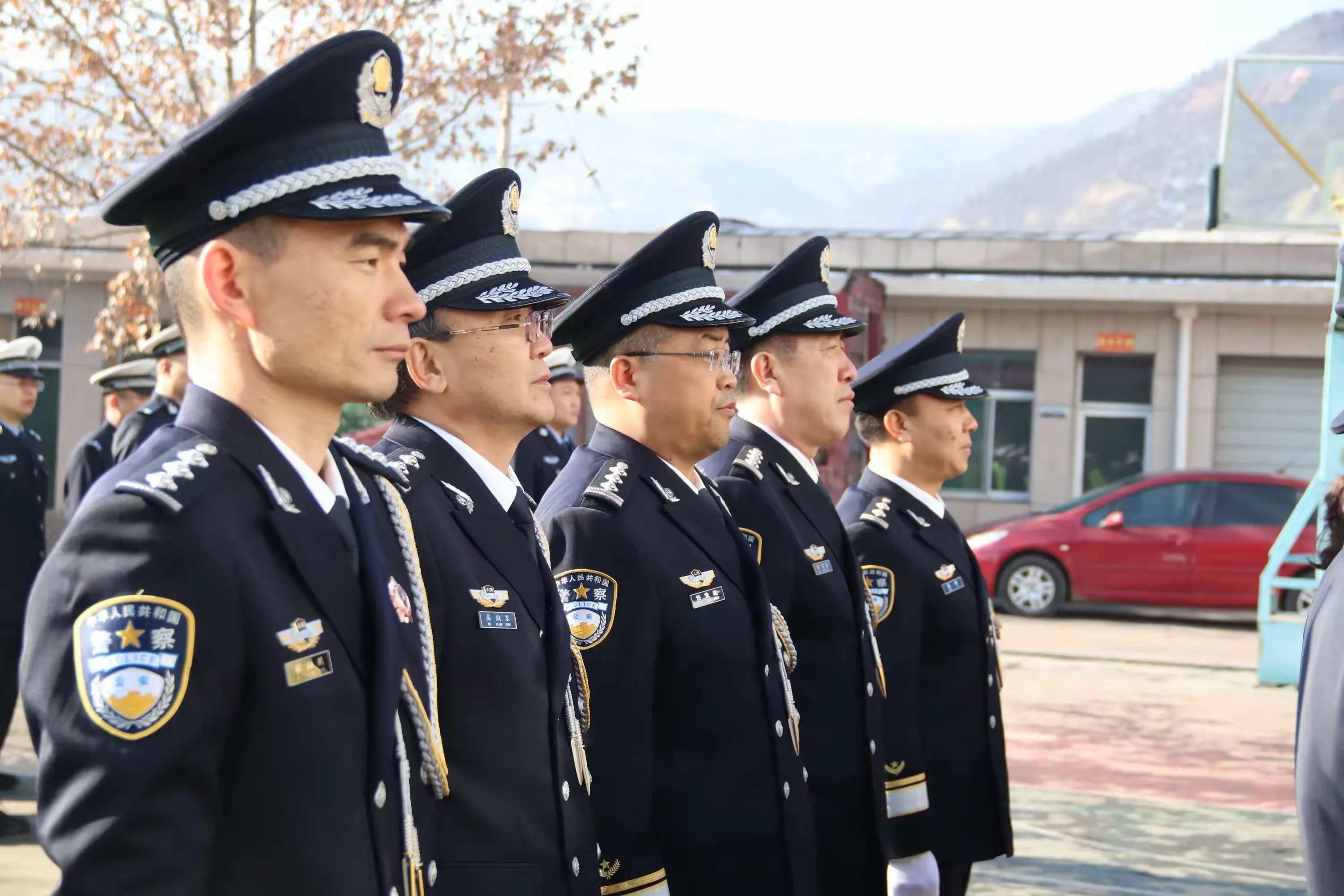 收藏ta阅读 219创建于01-10任伟