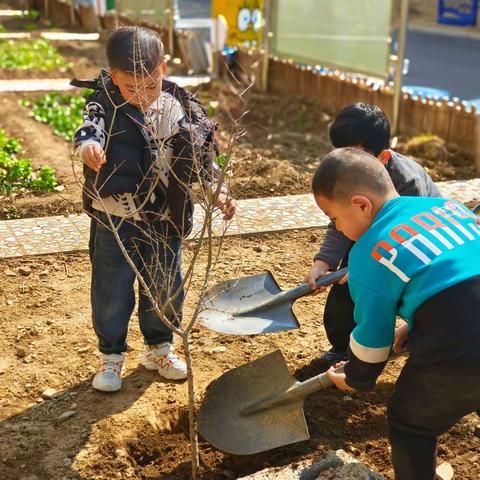 峄城区第三实验幼儿园——中二班之快乐植树节