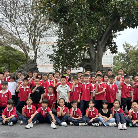 小脚印里的新旅程