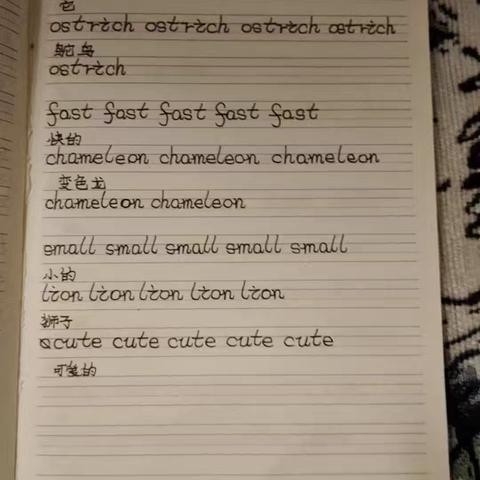 昌乐县九龙湖小学三年级二班寒假作业成果展示