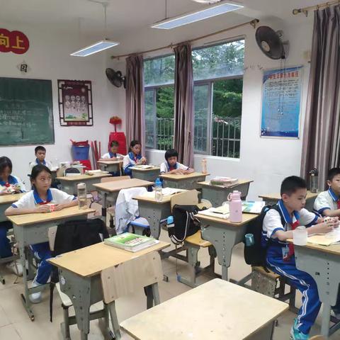七坊镇中心学校魔方班五月份课后服务活动简讯
