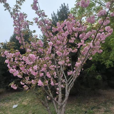 雨生百谷 万物可期