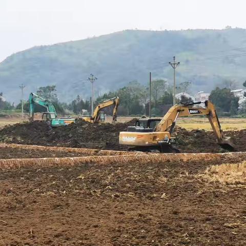 有序高效推进高标准农田建设 	筑牢乡村振兴“耕”基