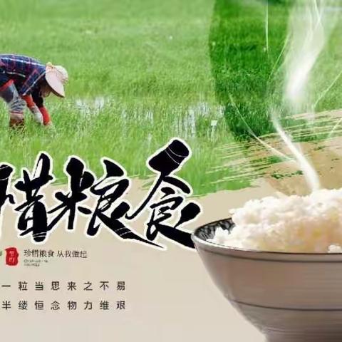 【传统美德根植于心  珍惜粮食践行于行】 ——五（3）中队升旗仪式暨值周记录