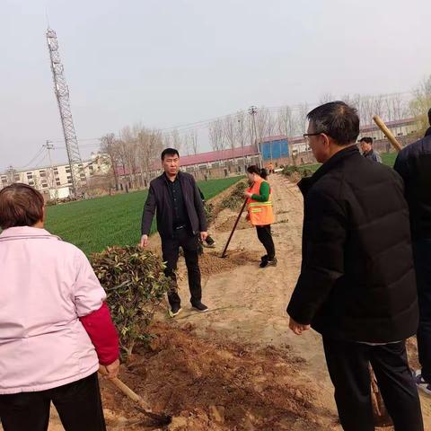 功在当今，泽被后世 ——小冀镇许庄村植树活动略影