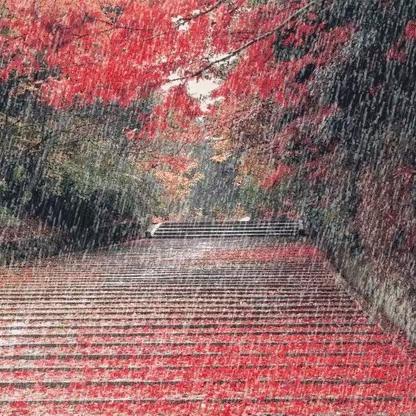 《这些年》——下雨天