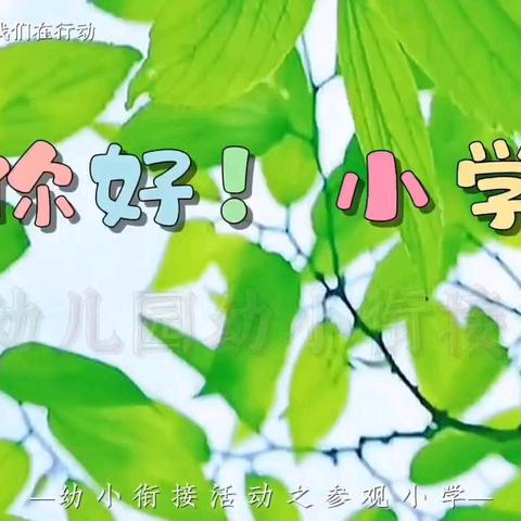 [幼小衔接]我们在行动，初探小学、幼见成长！