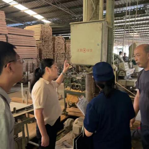 压实责任不松劲！莘口镇全力开展安全生产专项检查