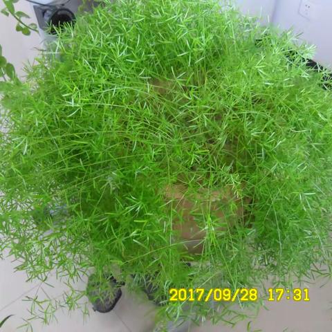 笔下流年 醉美时光