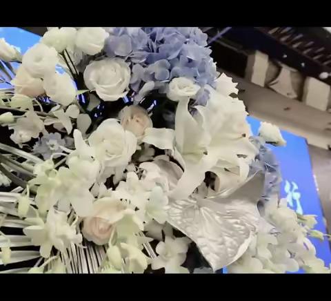 上药康德乐（湖北）医药有限公司活动视频