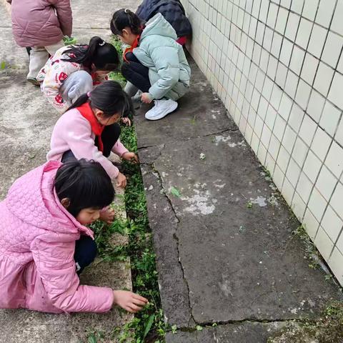 “爱卫新篇章 健康‘心’生活”——清流县李家中心小学开展爱国卫生月活动