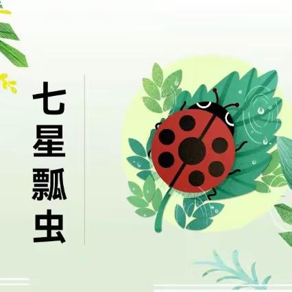 【强镇筑基】小瓢虫🐞大世界🔍沙埠小学附属幼儿园生成活动