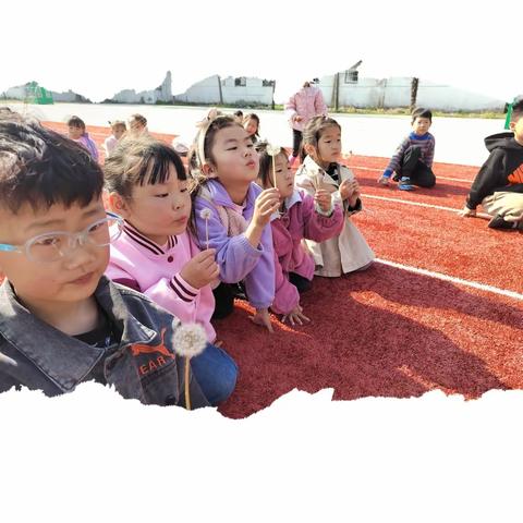 最美四月天——黄海幼儿园的校园寻春记