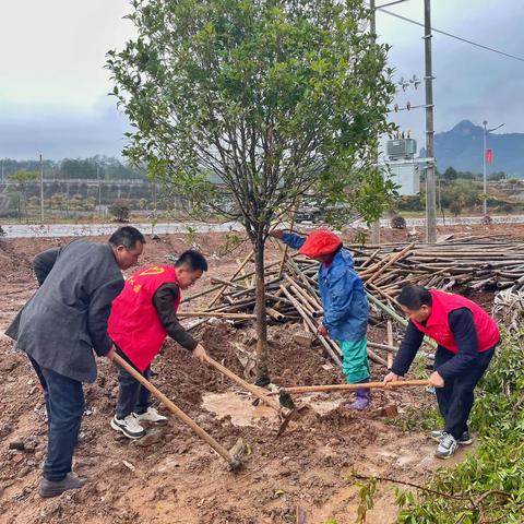 生态领向丨水茜镇开展义务植树活动
