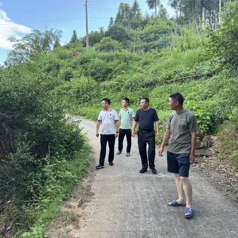 水茜林业站近期工作动态（7.1-7.12）