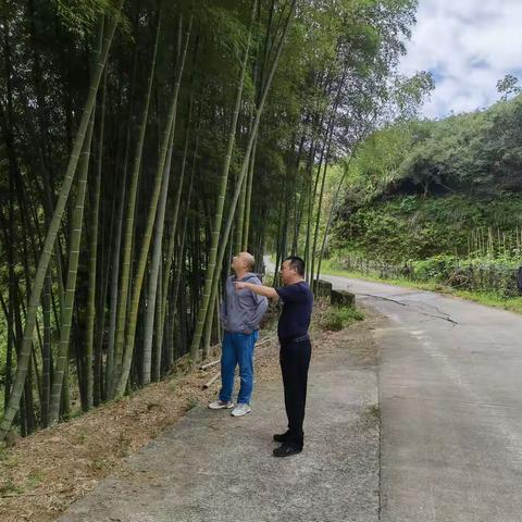 水茜林业站近期工作动态（7.29-8.2）