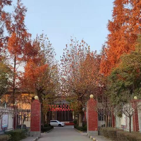 悦读伴成长 书香润心田——王莽街道汤房庙小学读书分享活动小记