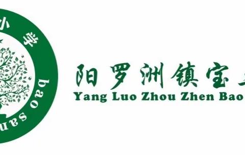 欢度元旦，安全先行——沅江市阳罗洲镇宝三小学2024年元旦假期安全告家长书！