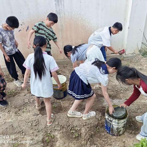 劳动点亮春天  实践成就梦想——水峪小学劳动实践活动