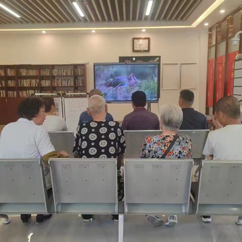 “爱鸟护鸟 共筑生态家园"—大寨村开展爱鸟护鸟主题活动