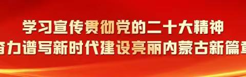 巴仁哲里木镇开展“四议两公开”制度落实情况专项监督检查