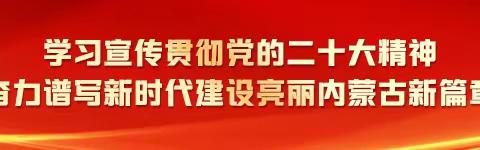 巴仁哲里木镇主题教育领导小组办公室成员到王布和蒙医医院开展督导工作