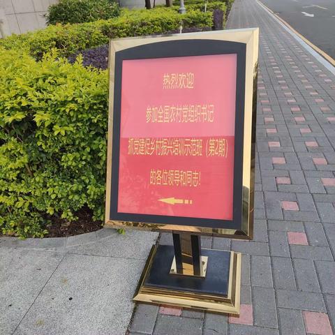 相约鹏城 看前沿发展速度；躬“深”细照 论乡村振兴之道；全国农村党组织书记抓党建促乡村振兴培训示范班