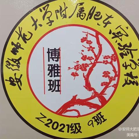 我们的“梅”好时代——安徽师范大学附属肥东实验学校九9班2023－2024年度第一学期班级工作总结