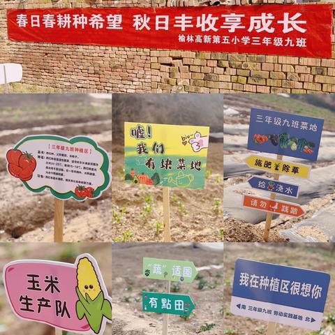 一起“趣”春耕  榆林市高新五小 三年级九班春耕系列活动