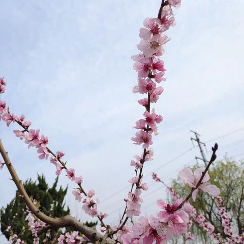 “教”学路漫漫，“研”途皆风景——崇文小学与恒涛实验小学（李敏 尹美玉英语名师工作室）进行英语学科课堂教学研讨活动