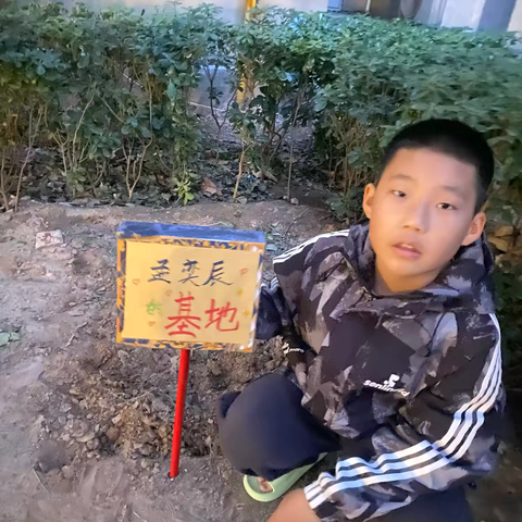 五洲观澜小学  四（6）班孟奕辰——种地之平地