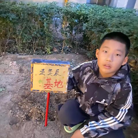 五洲观澜小学  五（6）班孟奕辰——花生的一生