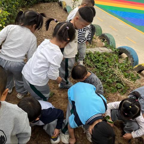 县直第二幼儿园小二班10月美好瞬间