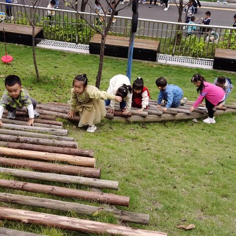 龙腾幼中一班第六周精彩回顾