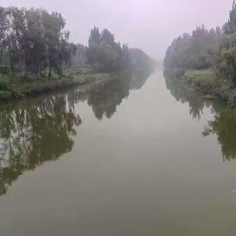 压实责任链条，强化常态巡查——双井镇“三位一体”推动巡河护水长效化